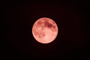 告白されるストロベリームーンの待ち受け画像